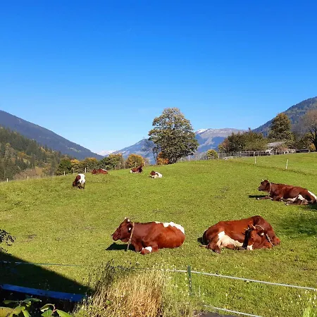 Apartamento Hoislbauerngut
