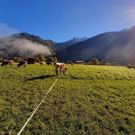 Apartamento Hoislbauerngut