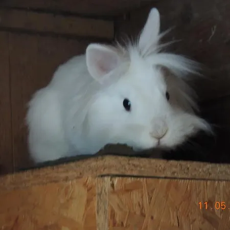 Hoislbauerngut * Bad Hofgastein