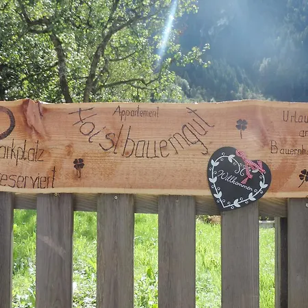 Apartamento Hoislbauerngut *