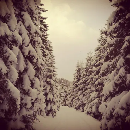 Hoislbauerngut * Bad Hofgastein