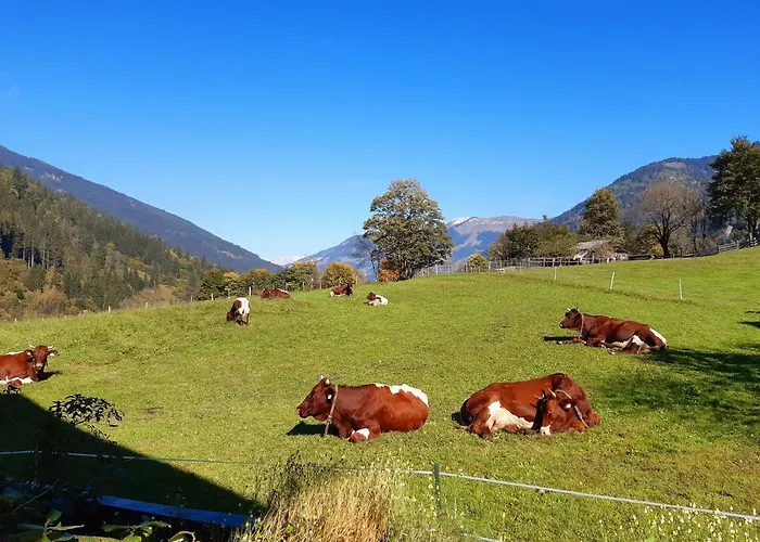 Apartmán Hoislbauerngut