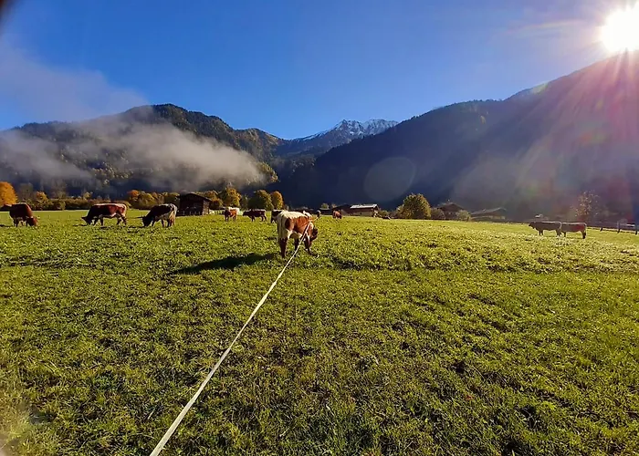 Apartmán Hoislbauerngut