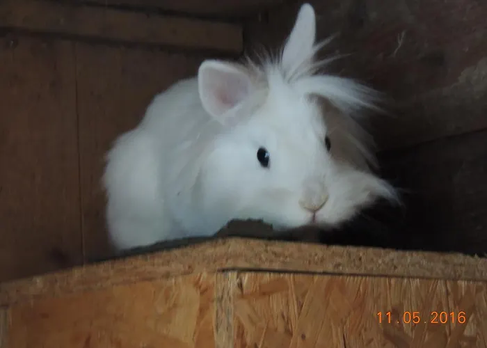 Hoislbauerngut * Bad Hofgastein